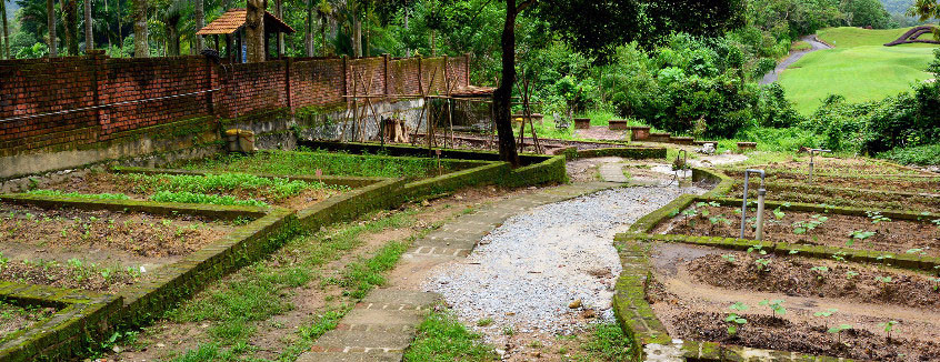 Explore and Expand the Communal Farm at Mari House, Templer Park