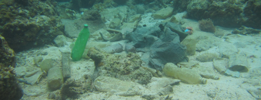 Marine Debris and Plastic Pollution