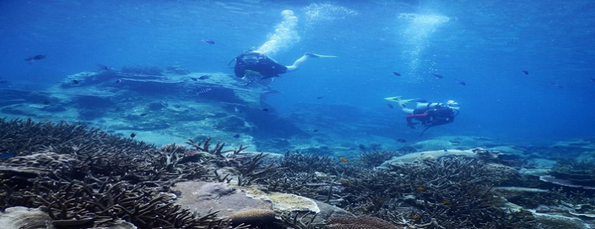 Perhentian Islands Marine Research Station