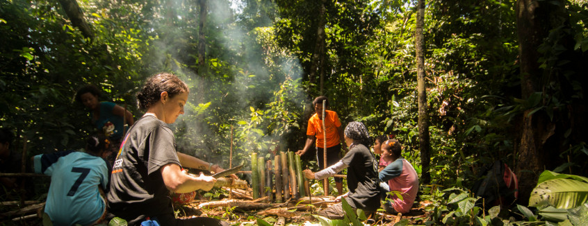 Malayan Rainforest Station