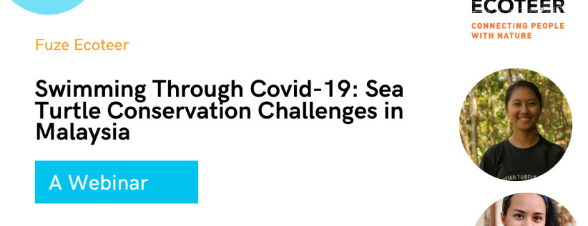 Swimming Through Covid-19: Sea Turtle Conservation Challenges in Malaysia