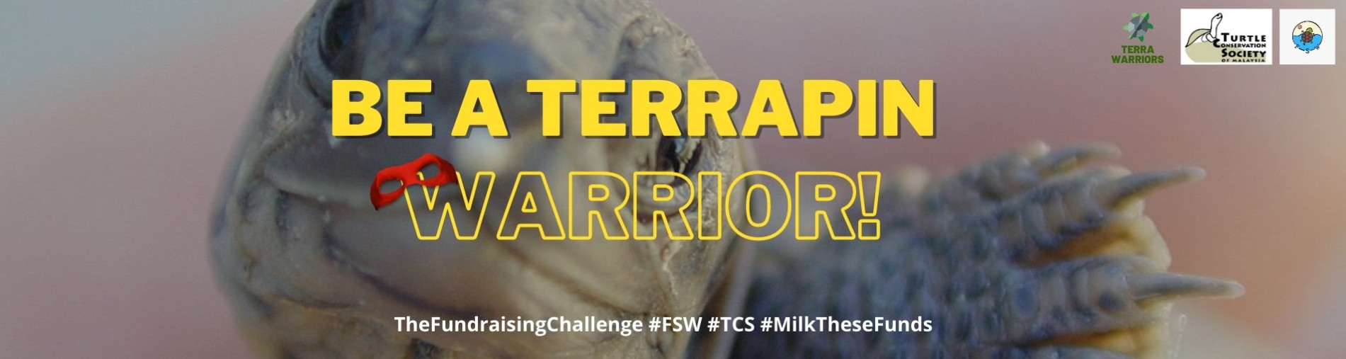 Be A Terrapin Warrior!