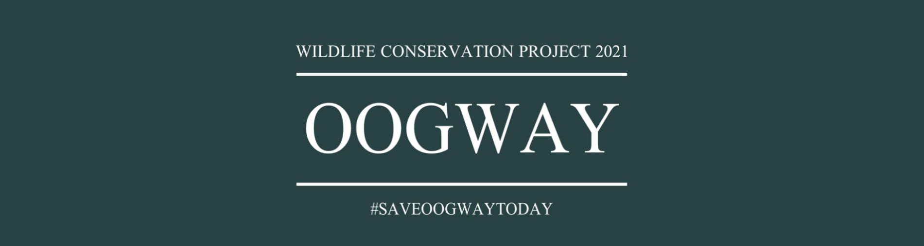 Save OOGWAY and his family! - Supporting TCSMalaysia & Perhentian Turtle Project