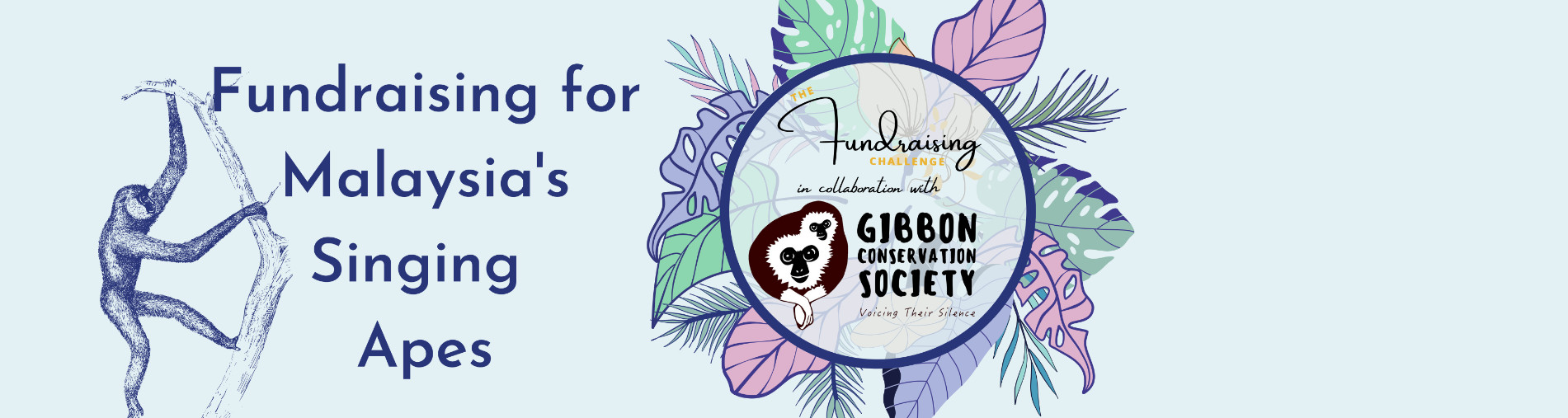 Supporting gibbons - Malaysia's singing ape