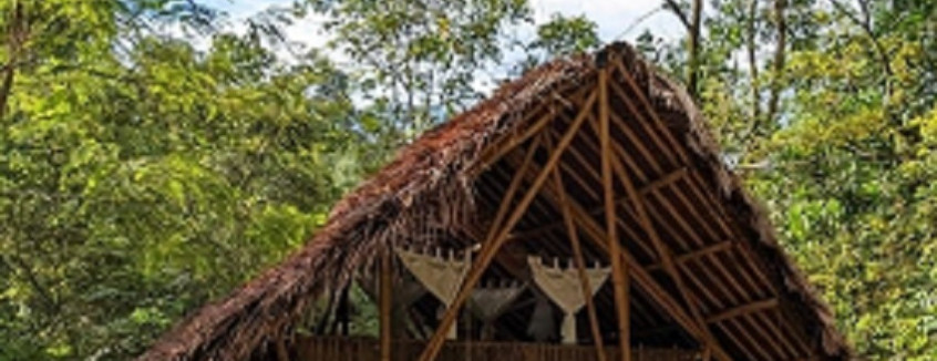 Ops Bumbung Bamboo