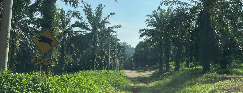 Mapping Kampung Orang Asli Changkat Bintang