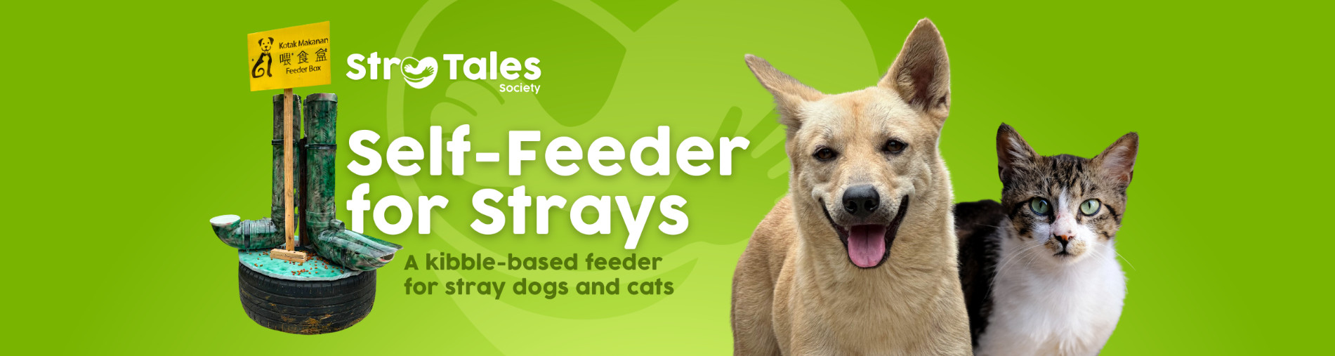 Build Community Self-Feeders for Strays with Stray Tales Society