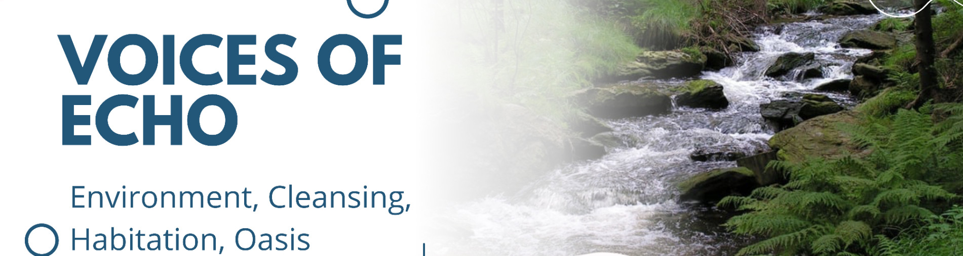 Voices of ECHO