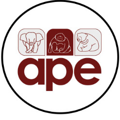 APE  Malaysia