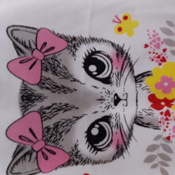 Noor Mazuin Abu Bakar