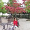 Juliana Wong