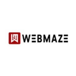 WEB MAZE