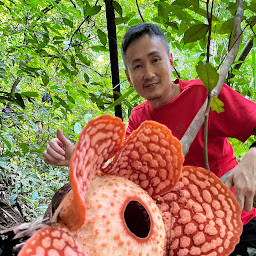 Edward Loh