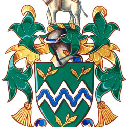 Assam Valley School