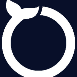 Mobile App Developers Dallas - Software Orca