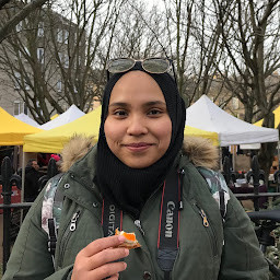 fatin hamzah